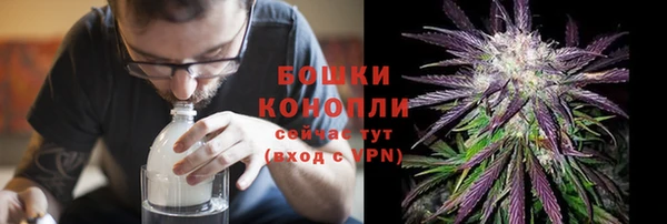 индика Нея