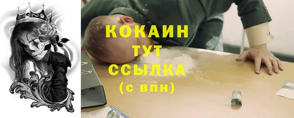 индика Нея