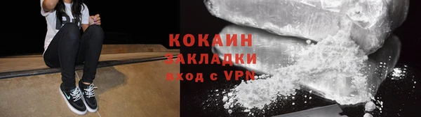 индика Нея