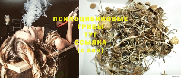 индика Нея