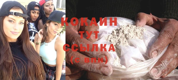 индика Нея