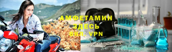 индика Нея