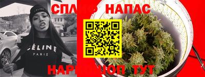 мяу мяу мука Будённовск