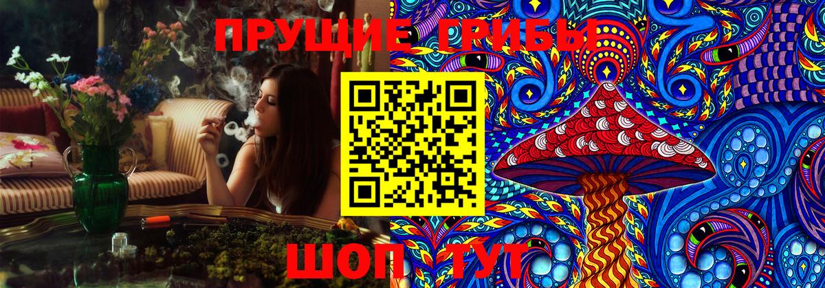 Псилоцибиновые грибы Psilocybe  Вход с VPN  магазин продажи наркотиков  Лениногорск 