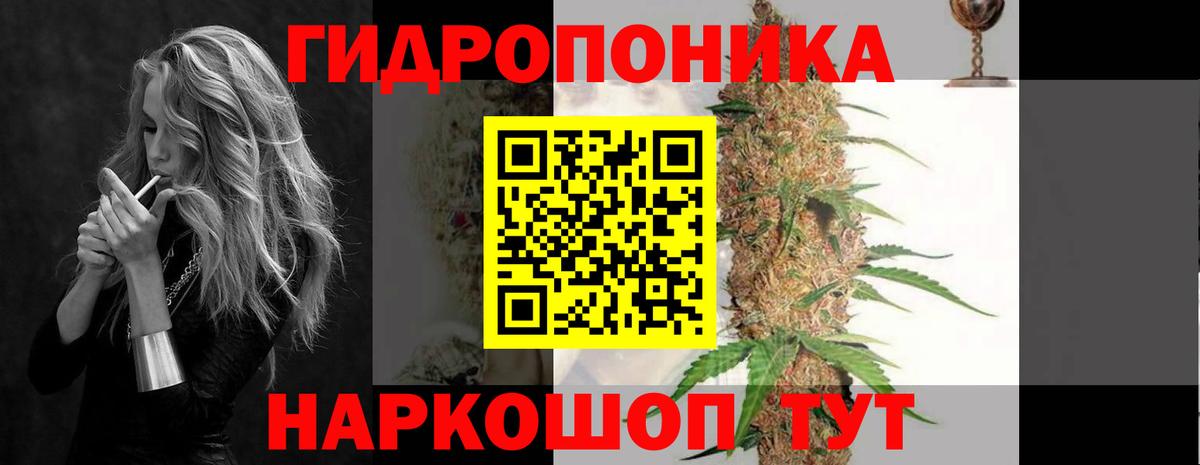 Канабис OG Kush  Вход с VPN  Бошки Шишки индика  Лениногорск 